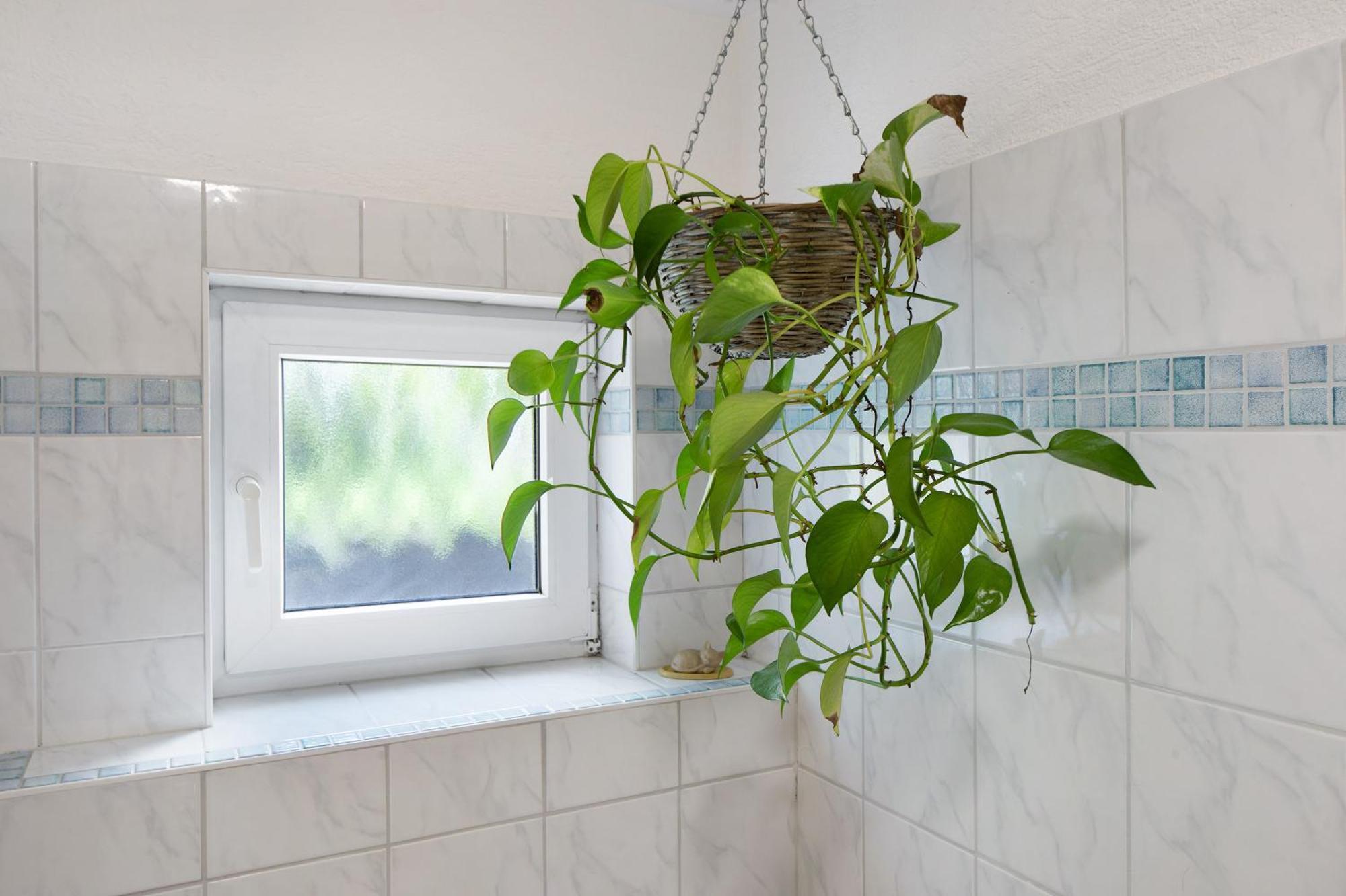 Ferienwohnung Zur Schauinslandbahn Horben Esterno foto